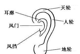 面相 耳垂|从耳朵看面相｜5点耳朵形状及特征，一窥性格与运